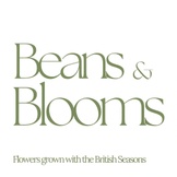 Beans and Blooms