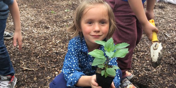 Laudato Si Project, Milwaukee, Wisconsin, Ecology, Stewardship, Living Laudato Si, Catholic