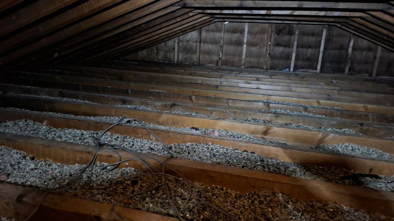 Mold Remediation Ottawa