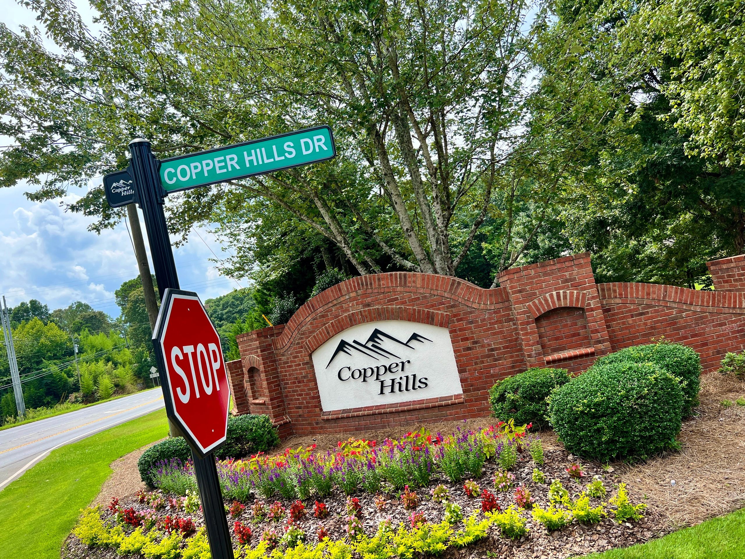 Copper Hills Community