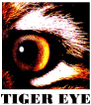 TEAM TIGER EYE