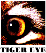 TEAM TIGER EYE