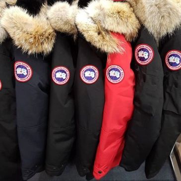 Canada goose cleaning professional water proofing 