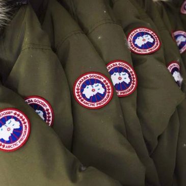 Canada goose cleaning experts eco friendly dry cleaning service 