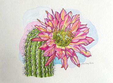 Watercolor painting of a cactus with a large pink flower.