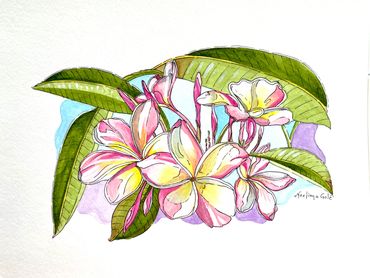Plumeria 12”x 9” Watercolor 