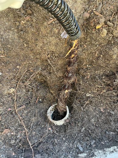 Root Intrusion plumbing snake