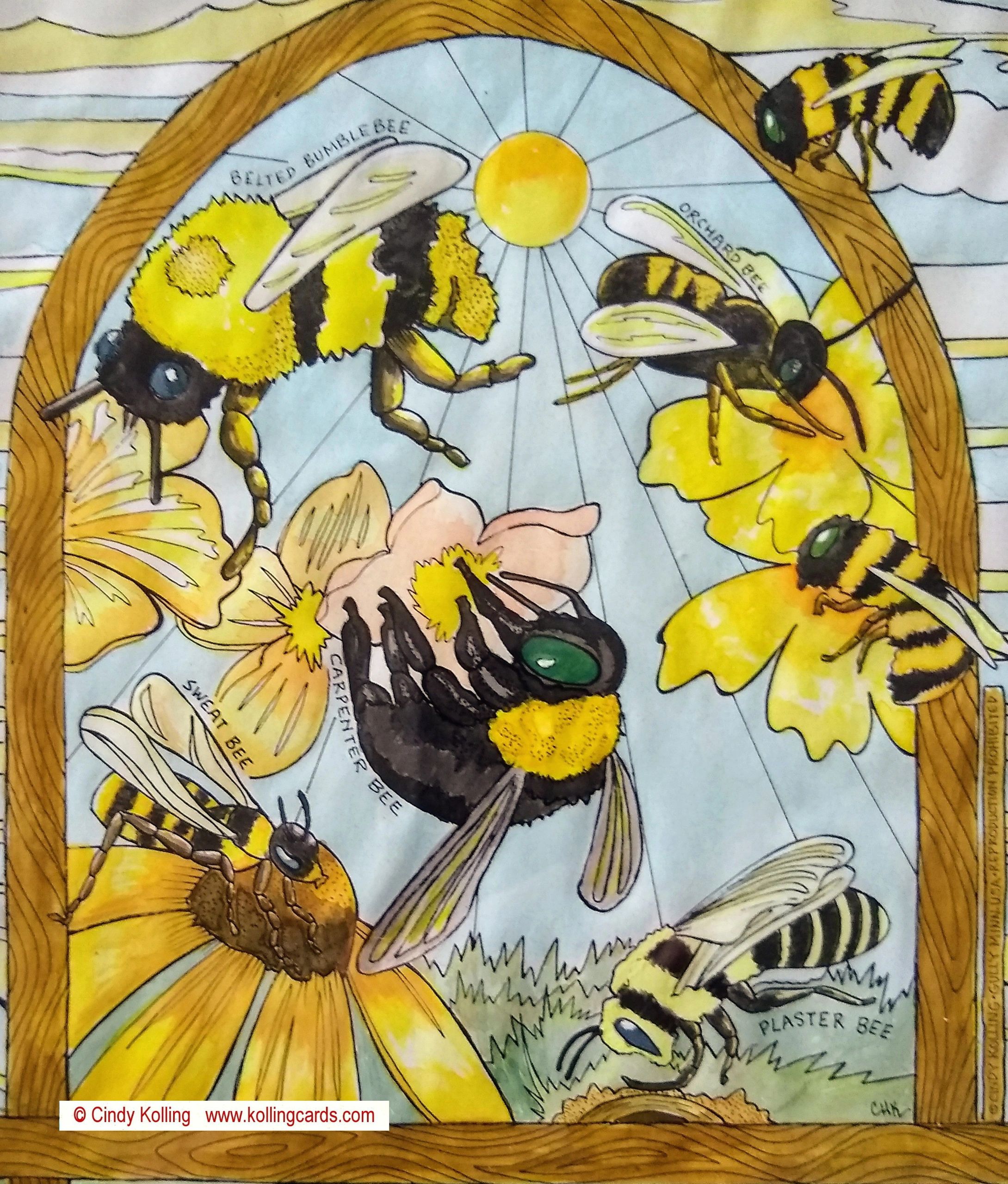 Bee Colors and Textures