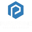 PurePrime Services Group