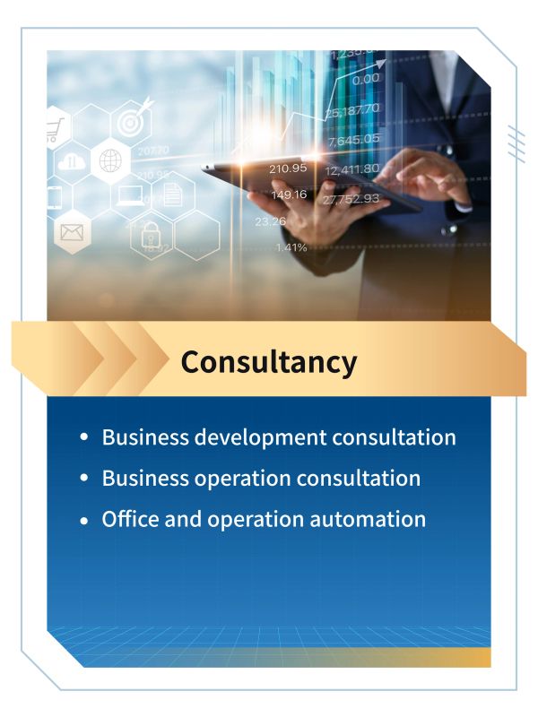 Consultancy services for business growth, operations, and automation.