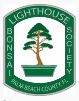 Lighthouse Bonsai