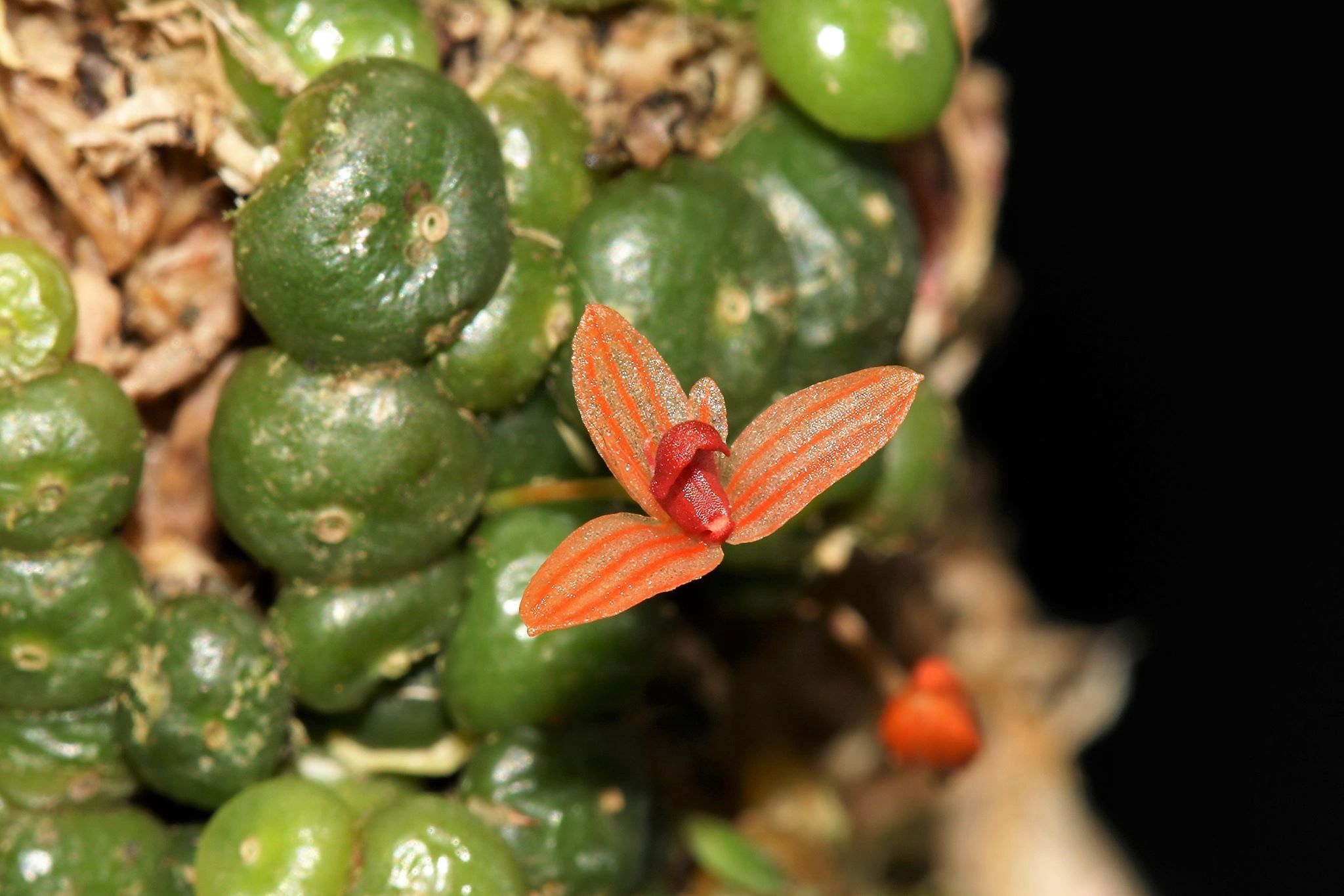 91026883_196025911685497_82872