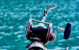 Fishing in Valdez. Salmon. Lingcod. rockfish.
