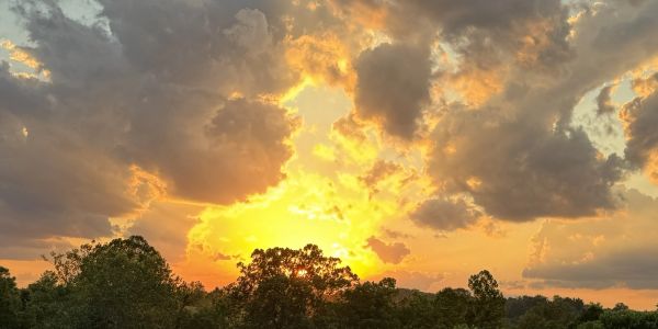 Sunset with glowing clouds and silhouetted trees.