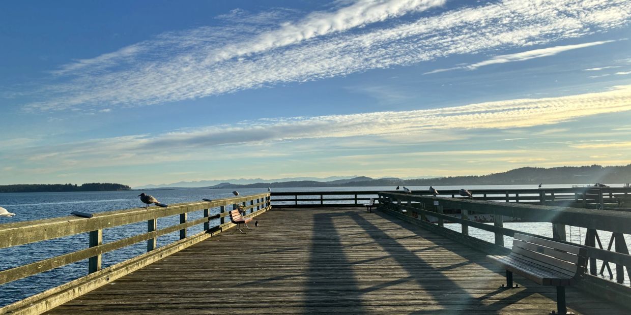 Wooden pier with benches and seagulls under a blue sky with clouds.