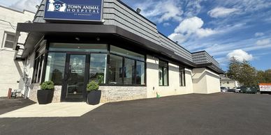 State of the art animal hospital in Manhasset