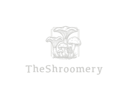 theshroomery.store