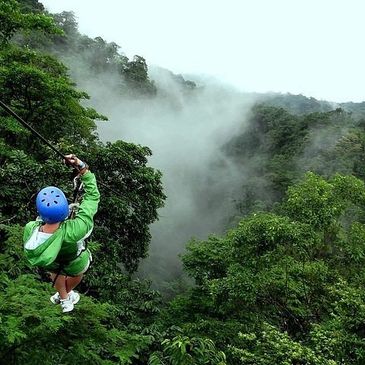 Someone zip lining over a misty jungle. 