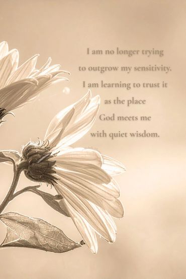 Soft white daisies in warm light, reflecting quiet wisdom, trust, and God’s gentle guidance.