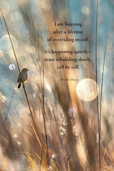 I am listening after overriding myself.
It's happening quietly-trust rebuilding slowly, cell by cell