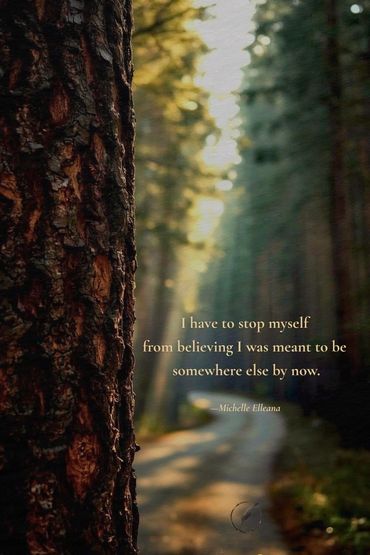 A sunlit forest path paired with releasing the belief that she should be somewhere else by now.