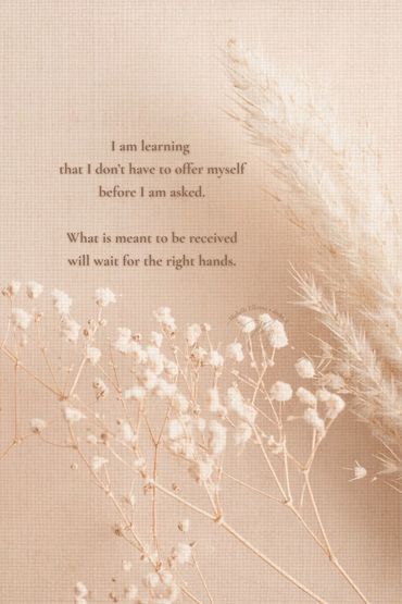 Soft botanicals resting in quiet light, reflecting restraint, trust, grace of being received slowly.