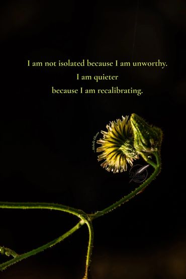 Macro photography of dandelion seedling and flower—Not Isolated, quieter because I am recaliberating