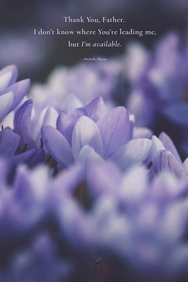 Soft lavender crocus, “Thank You, Father. I don’t know where You’re leading me, but I’m available.” 