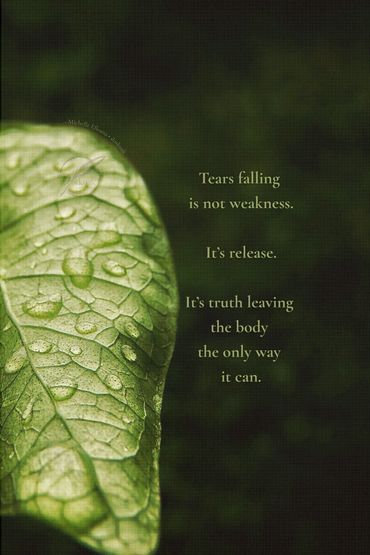 Tender green leaf with dew, symbolizing gentle release, healing, and God’s nearness.