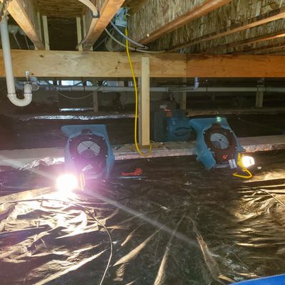 Wet and damn crawl spaces cause foundation and pest control issues. We are ready to help.