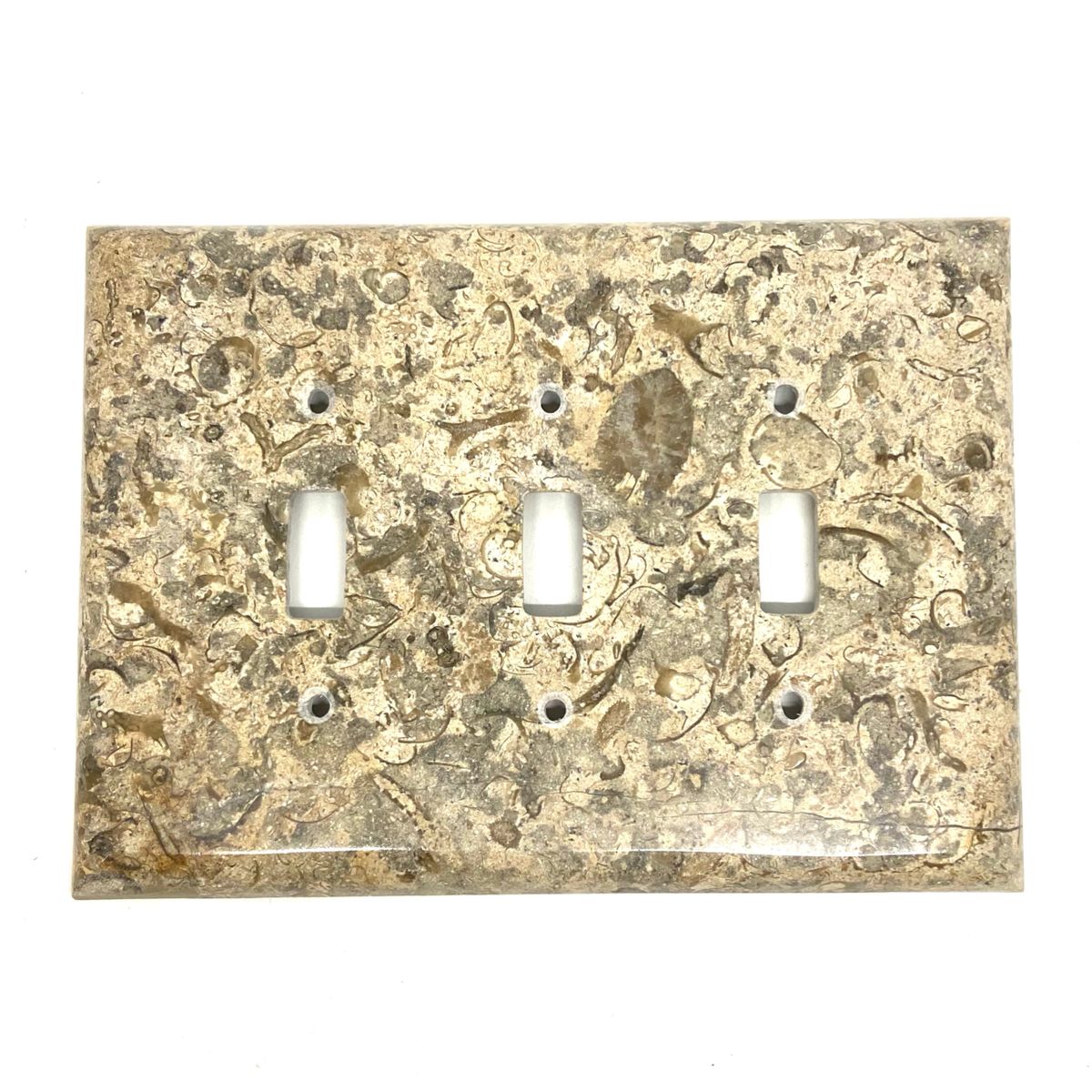 Light Switch Plate Cover | Triple Spiral Shell Fossil Stone