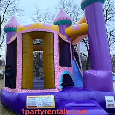 Glitter infused Vinyl!  Includes Slide and Basketball Hoop!

Dry Only!  $300