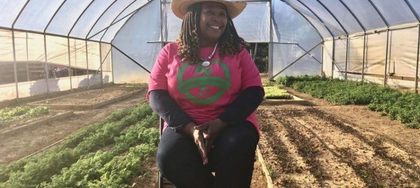 Foot Print Farms photo 15