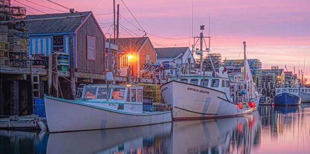 A crowded harbor