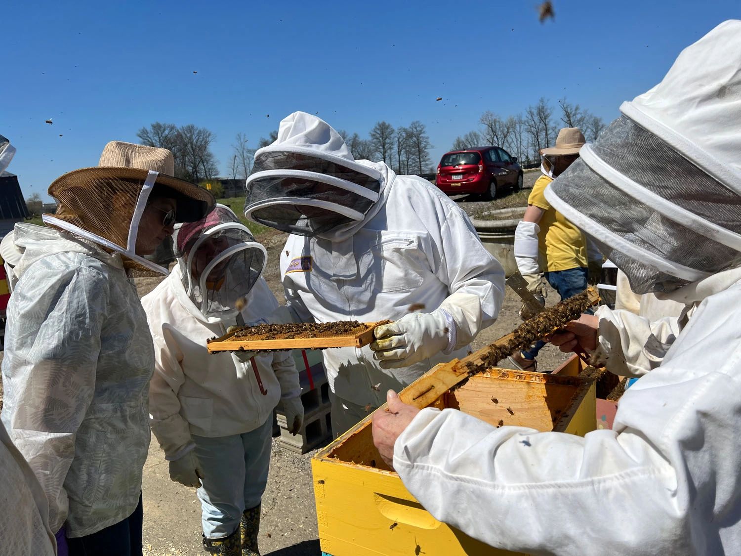 Learn About Beekeeping — Attend the 2023 Bee School