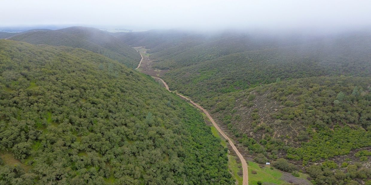 Fog covers hillside with a winding dirt road.