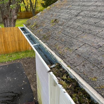 gutter cleaning