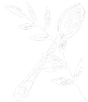 Unity Provisions