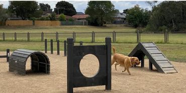 Outdoor living , dog park, exterior upgrade, amenity upgrade, playground, GC, general contractor 