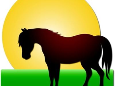 Preparing for your Horse B&B stay at SonnyDaze Ranch