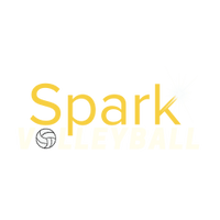 Spark Volleyball