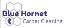 Blue Hornet Carpet Cleaning LLC