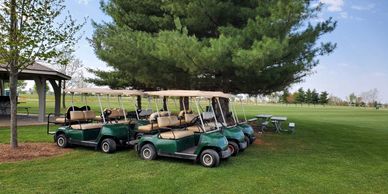 4 passenger golf cart rentals on site for a sports tournament