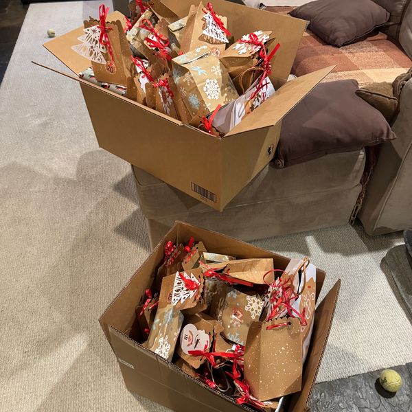 Two boxes filled with decorated holiday gift bags with red ribbons.