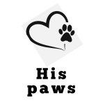 His paws 