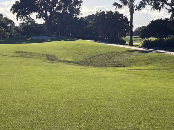 Washaway Sodding repairs visible on a golf course.