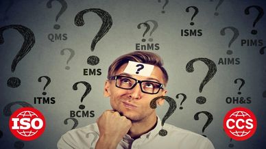 ISO Standard choice, which iso standard, what ISO helps my business, ISO assessment, discover ISO