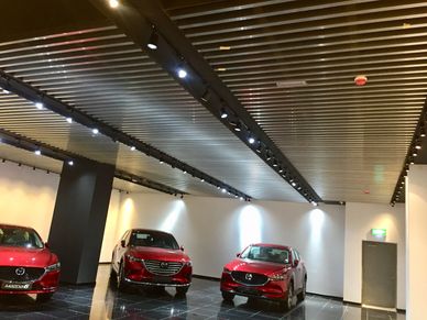 Architectural Ceiling 