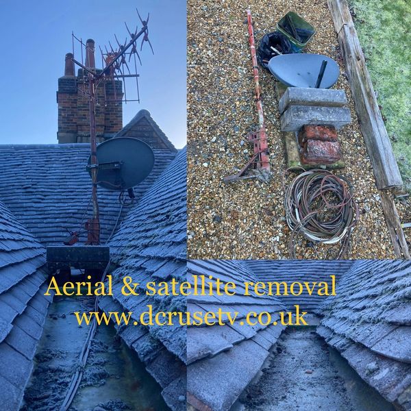 Aerial removal near me