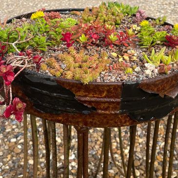 Planted garden sieve. Succulent planter. Succulent planting ideas. Vintage planting ideas.